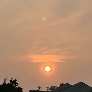 Meet your Posher, Ben